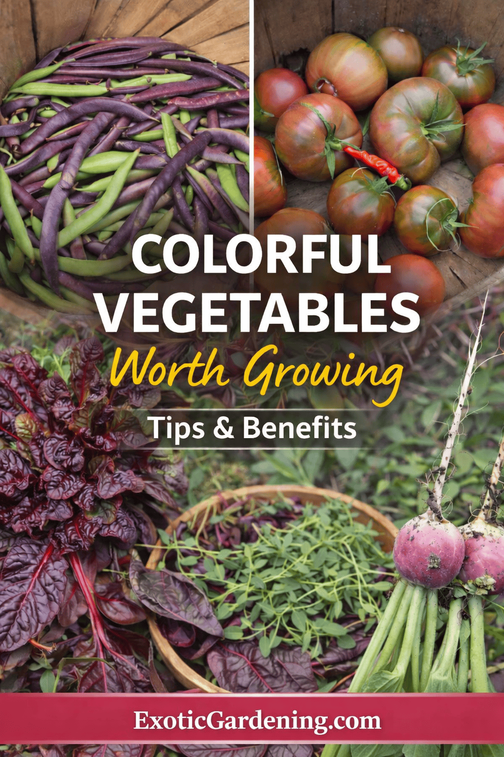 Colorful vegetables worth growing Pinterest graphic featuring purple beans, heirloom tomatoes, rainbow chard, fresh herbs, and watermelon radishes arranged in rustic baskets.