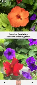 Creative Container Flower Gardening Ideas