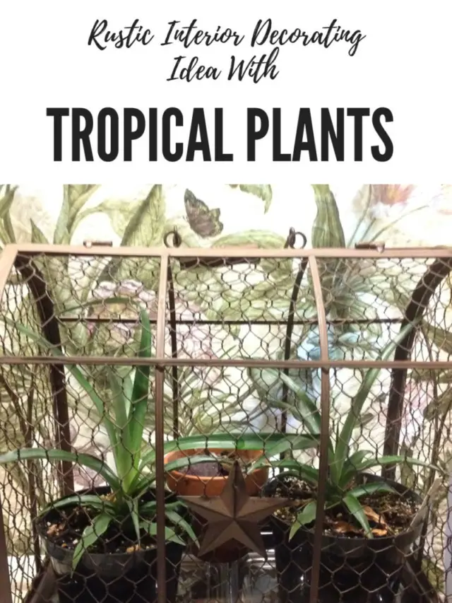 Rustic Interior Decorating Idea With Tropical Plants Story