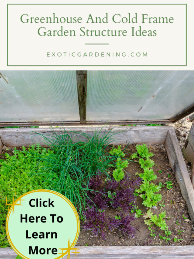 Greenhouse And Cold Frame Garden Structure Ideas Story