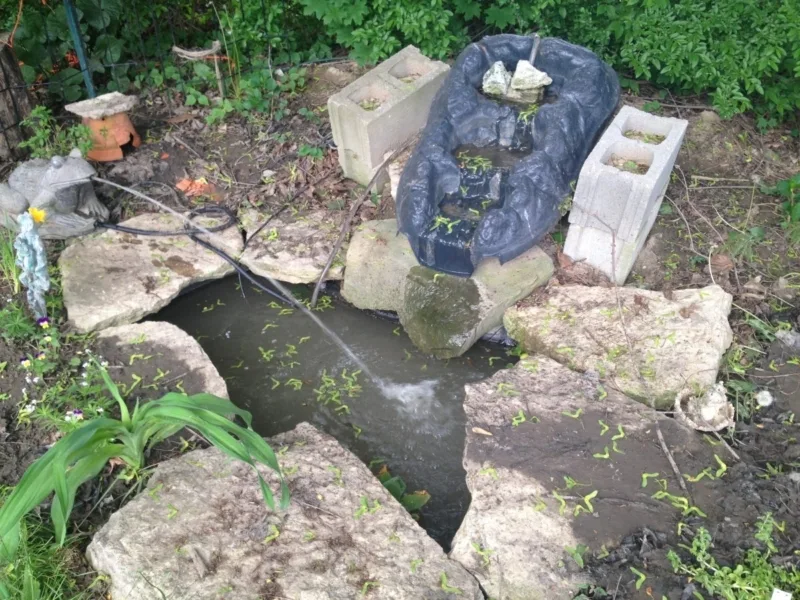 A pond and waterfall in my garden.