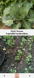 Early Season Vegetable Garden Ideas