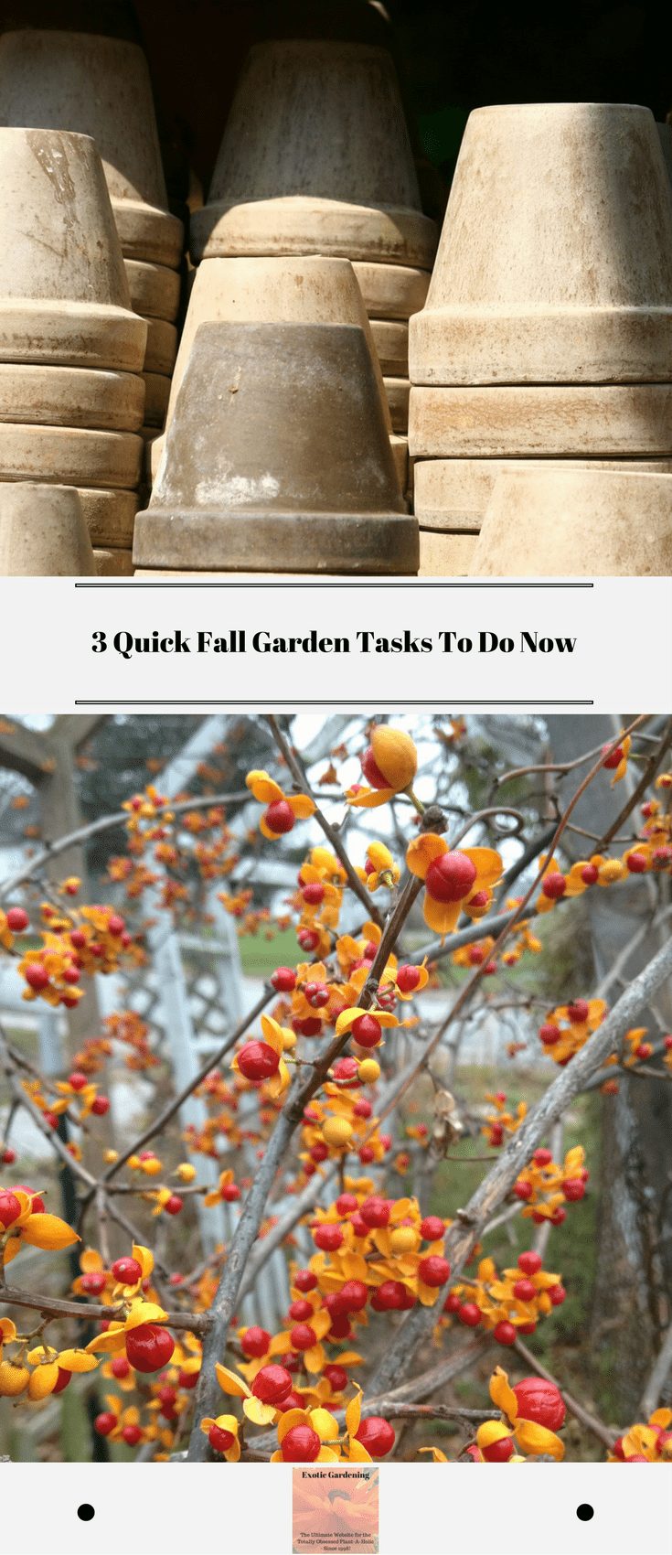 3 Quick Fall Garden Tasks To Do Now