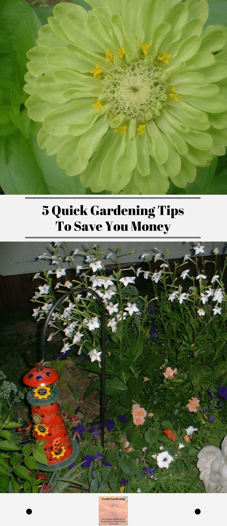 5 Quick Gardening Tips To Save You Money