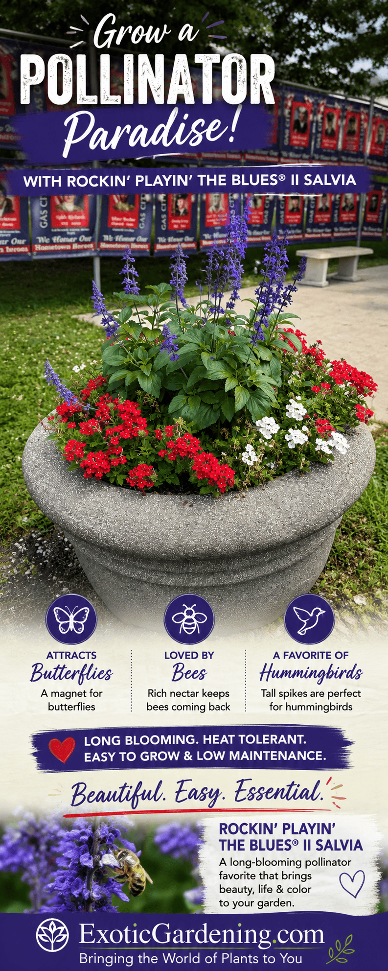 Blue Rockin’ Playin’ the Blues® II Salvia growing with red and white flowers in a large container at Gas City Park