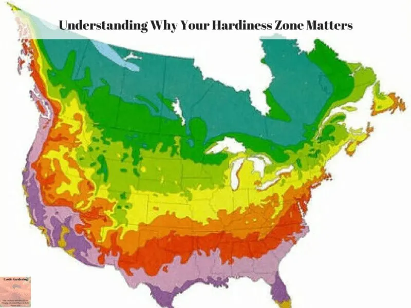 Understanding Why Your Hardiness Zone Matters