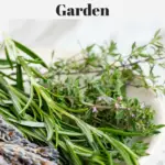 Harvested herbs laying in a bowl.