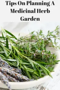 Harvested herbs laying in a bowl.