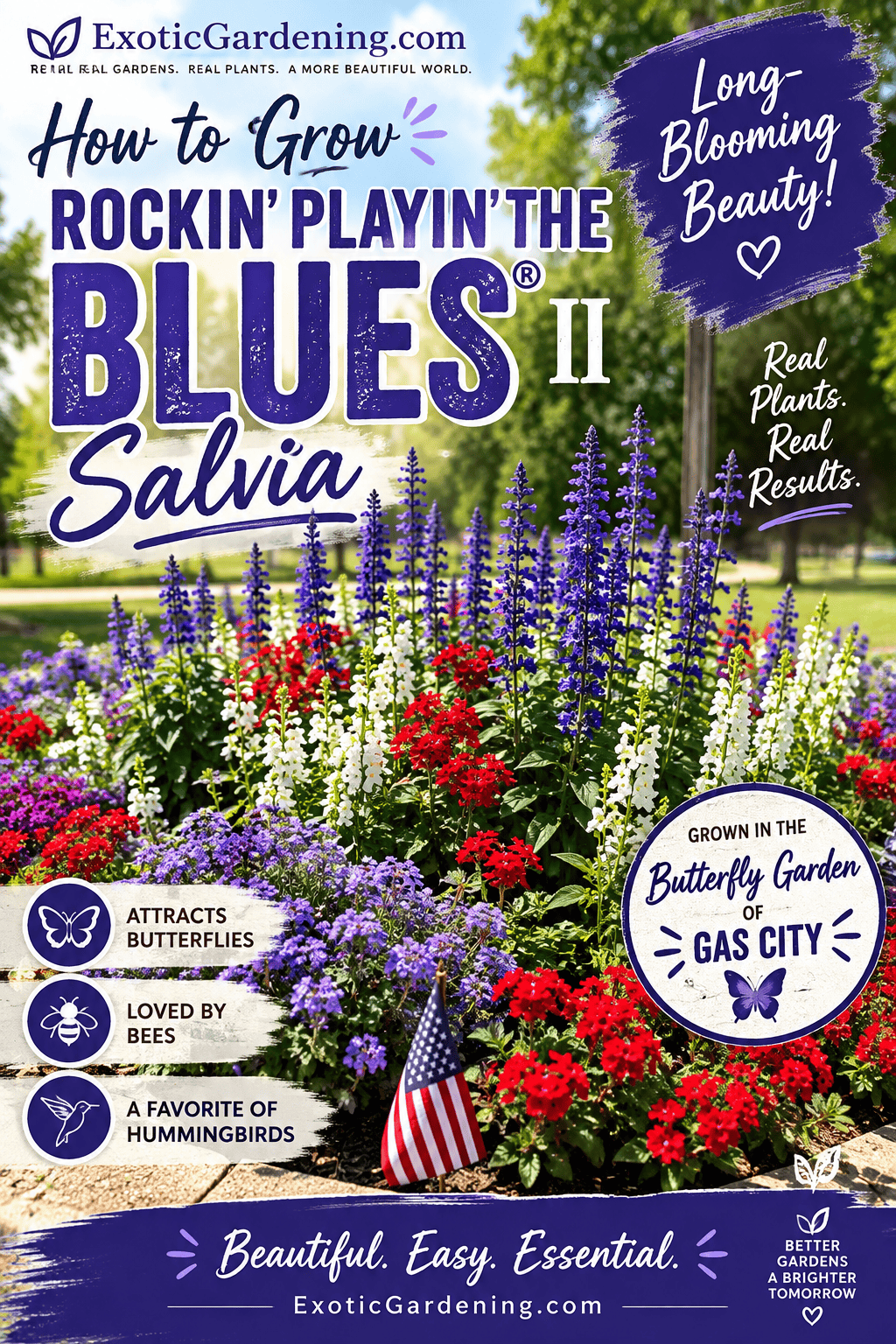Rockin’ Playin’ the Blues® II Salvia with tall purple flower spikes growing in the Butterfly Garden at Gas City Park