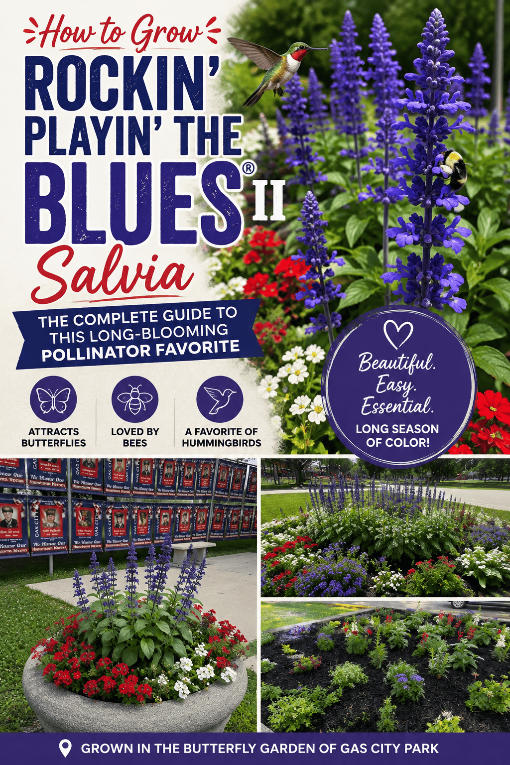 Rockin’ Playin’ the Blues® II Salvia growing with red and white flowers in a pollinator garden and container at Gas City Park