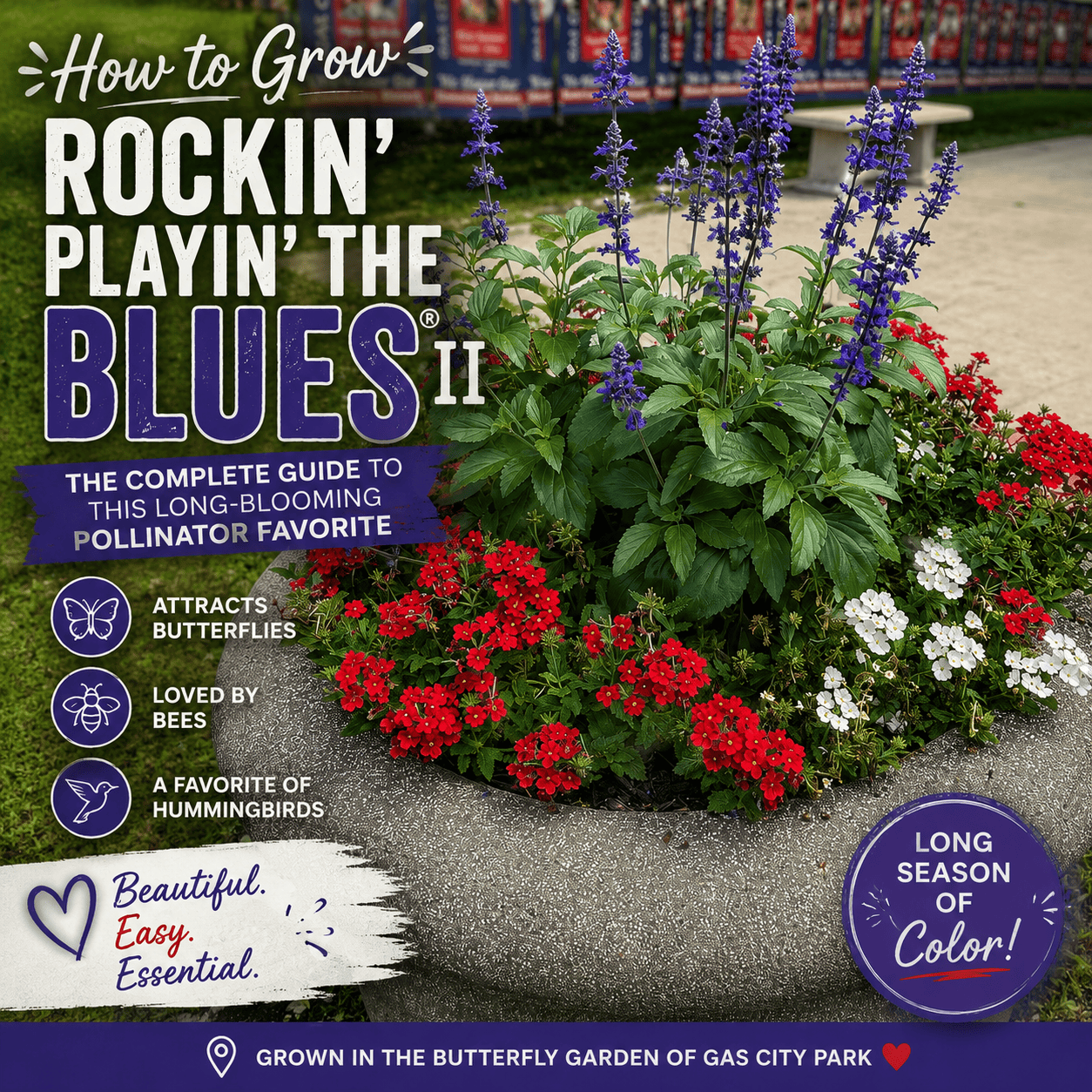 Large container filled with blue Rockin’ Playin’ the Blues® II Salvia and red and white flowers at Gas City Park