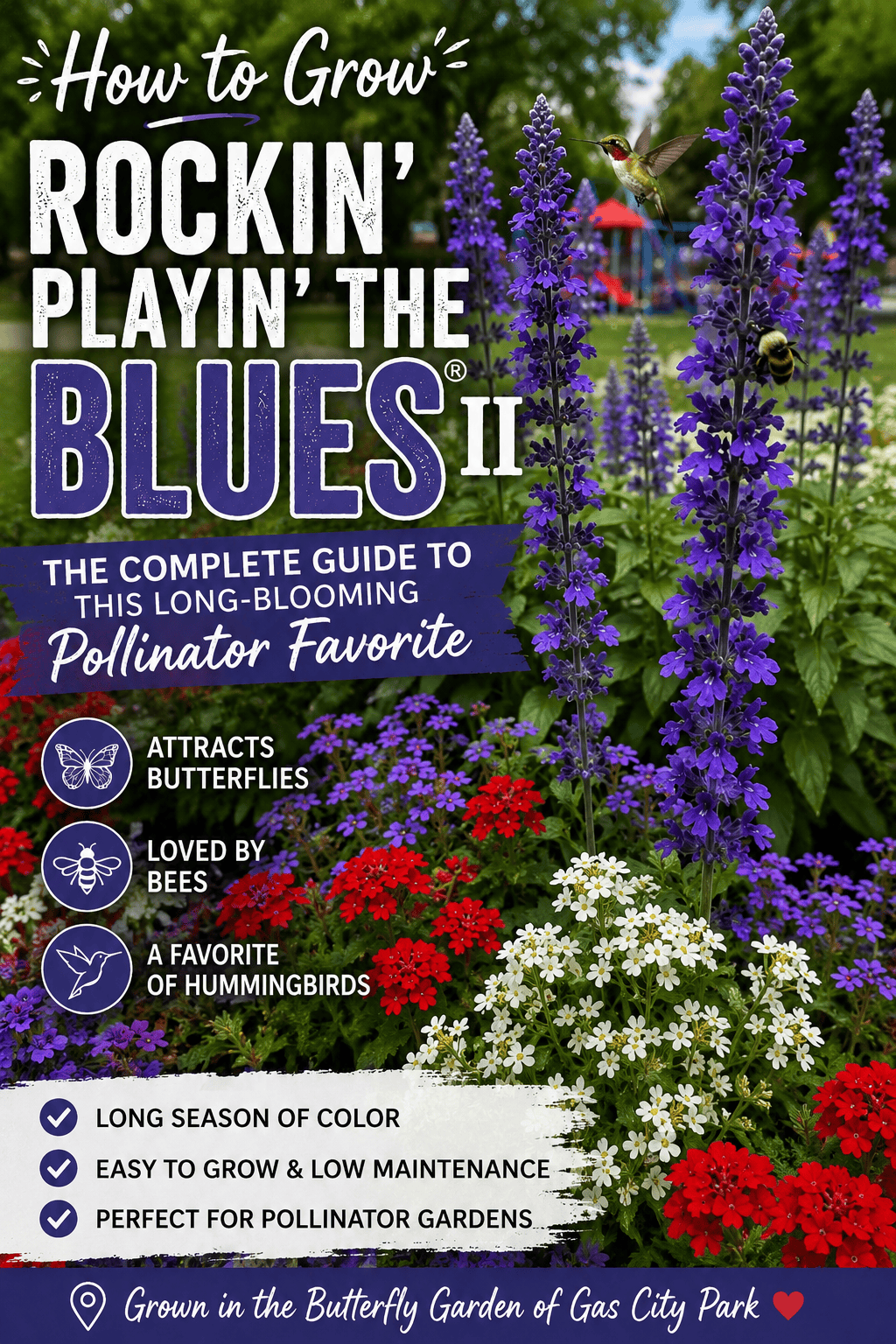 Tall violet-blue Rockin' Playin' the Blues® II Salvia flower spikes growing with red, white, and purple flowers in a pollinator garden.