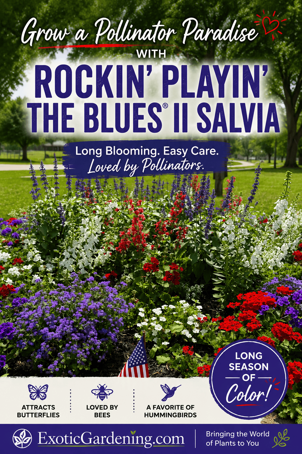Rockin’ Playin’ the Blues® II Salvia growing among red, white, and purple flowers in the Butterfly Garden at Gas City Park