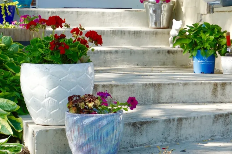 Creative Tips for Container Gardening