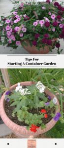 Tips For Starting A Container Garden