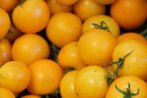 Easy To Grow Tomatoes Ideal For Container Gardens